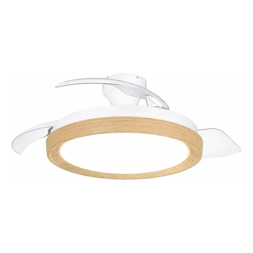 Ventilatore soffitto pale - soffitto,